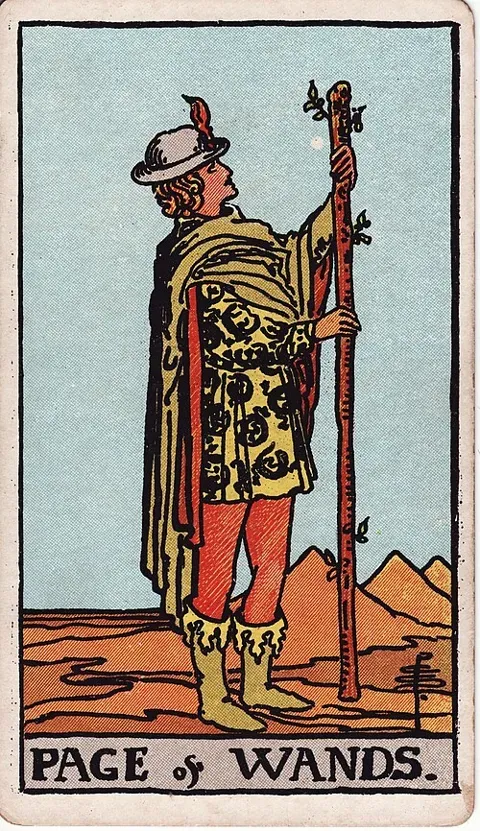Page of Wands, Rider–Waite–Smith tarot (1909)